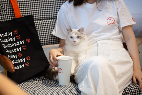 宠物服务与商品零售平台「宠物家Pet'em」完成亿元新一轮融资